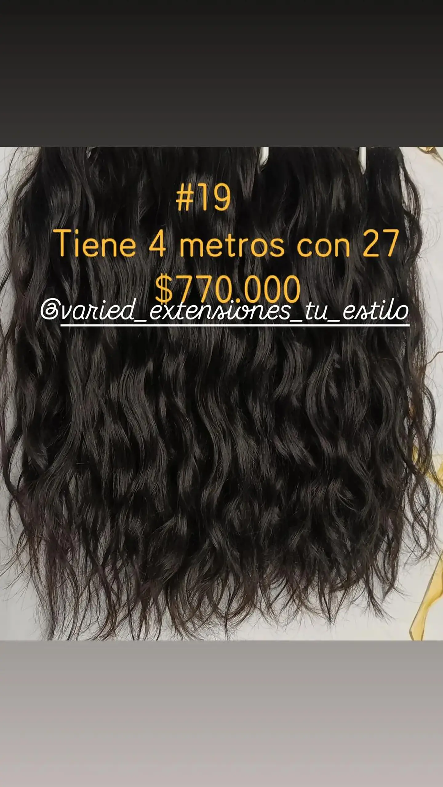 Extensión #19 1
