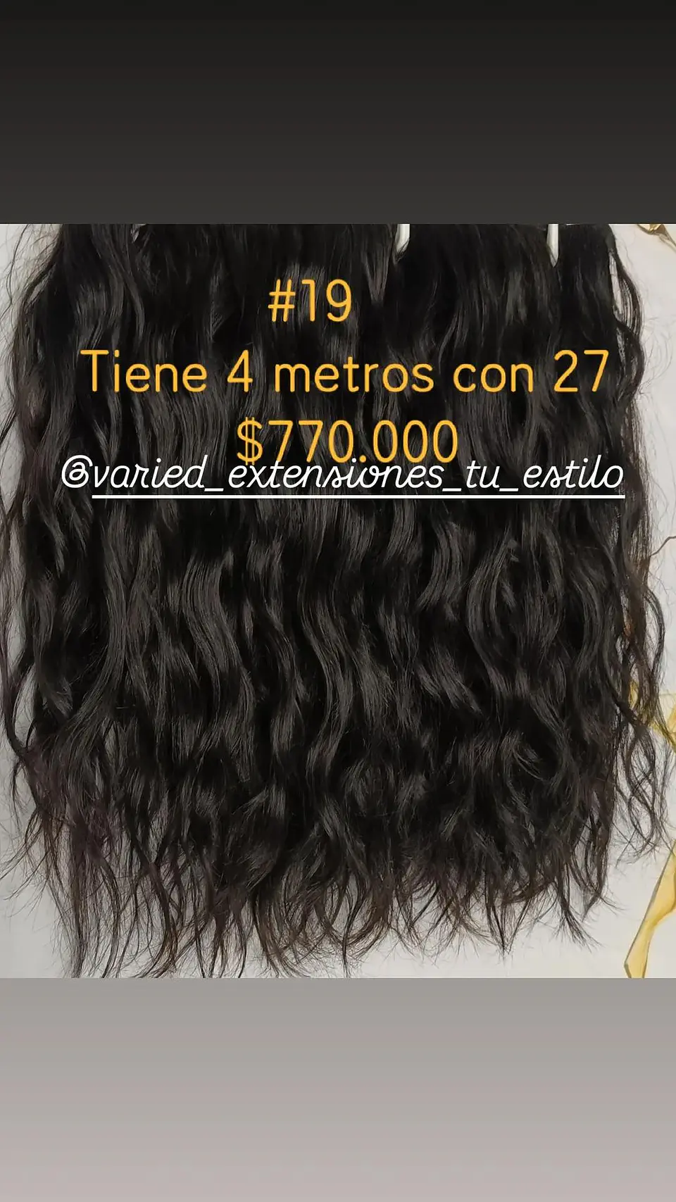Extensión #19 1