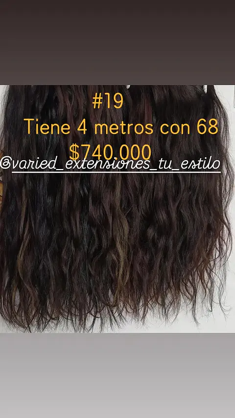 Extensión #19