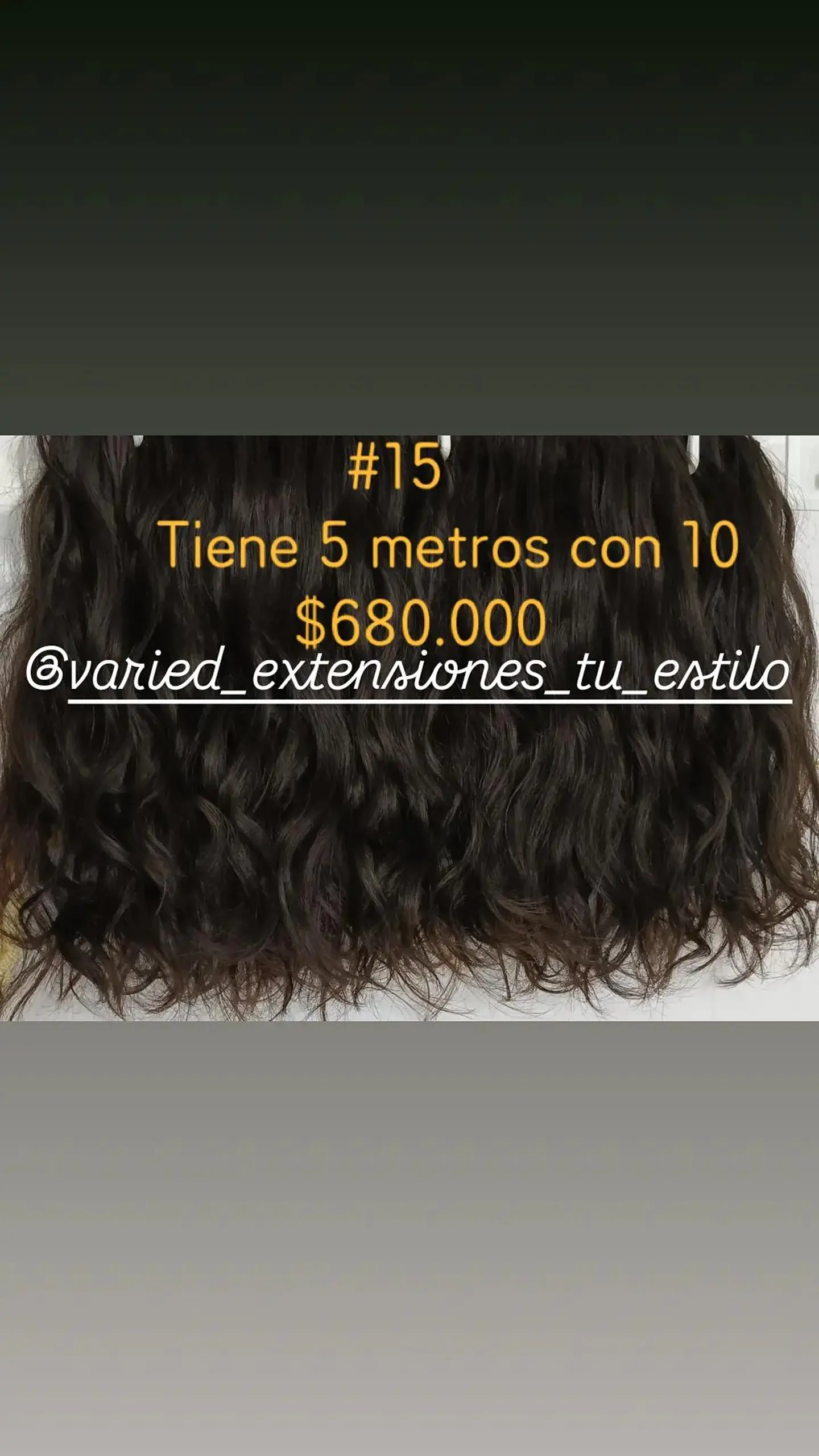 Extensión #15 1
