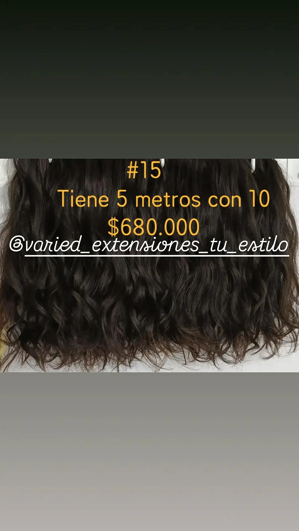 Extensión #15 1