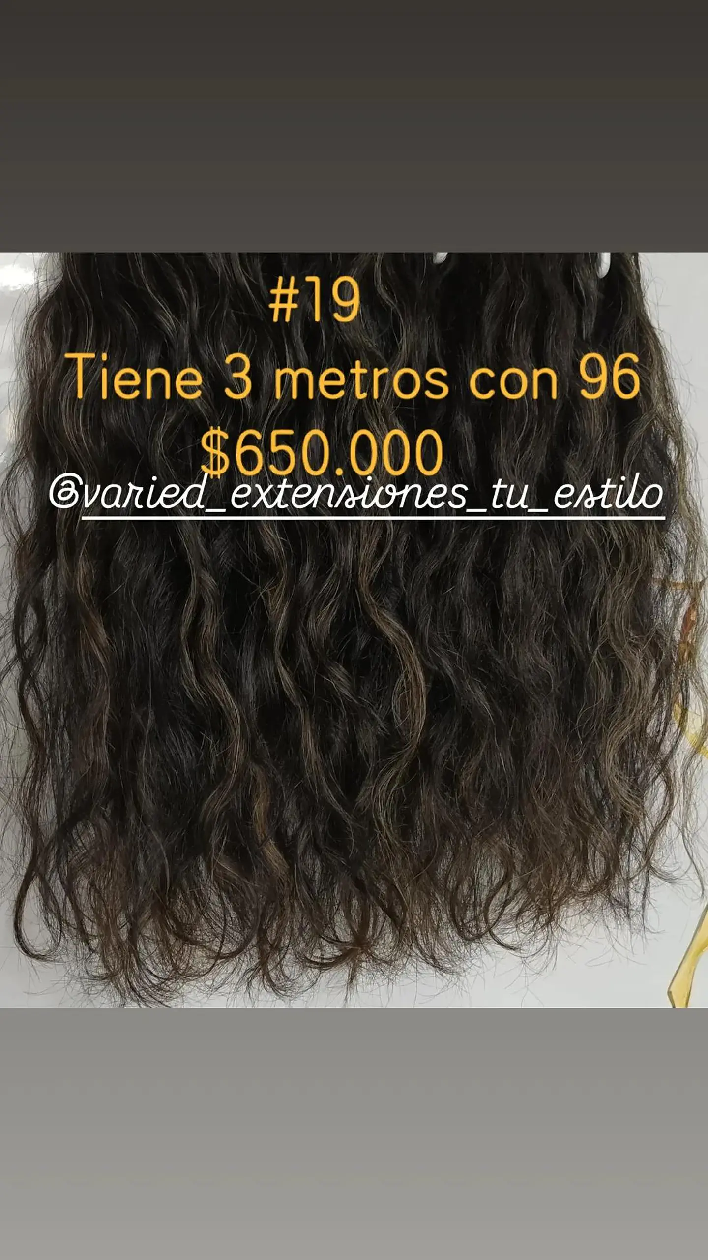 Extensión #19 1