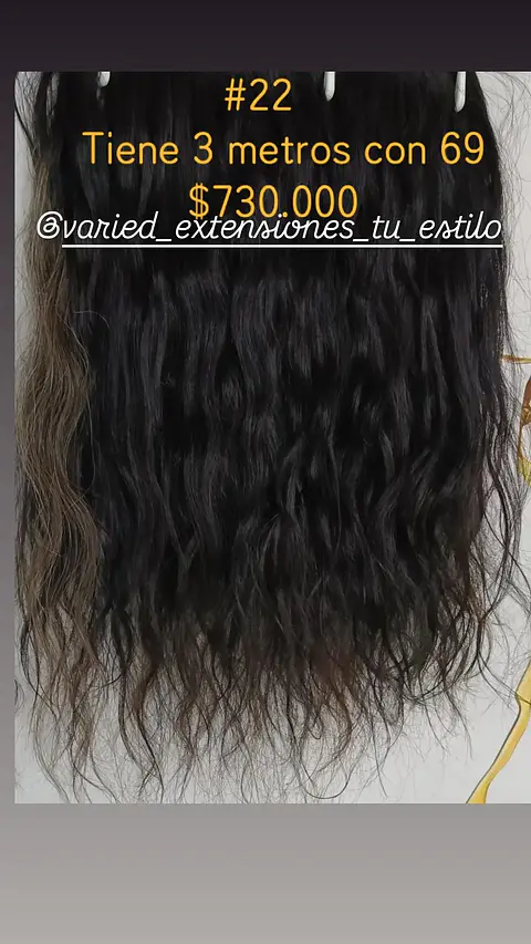 Extensión #22