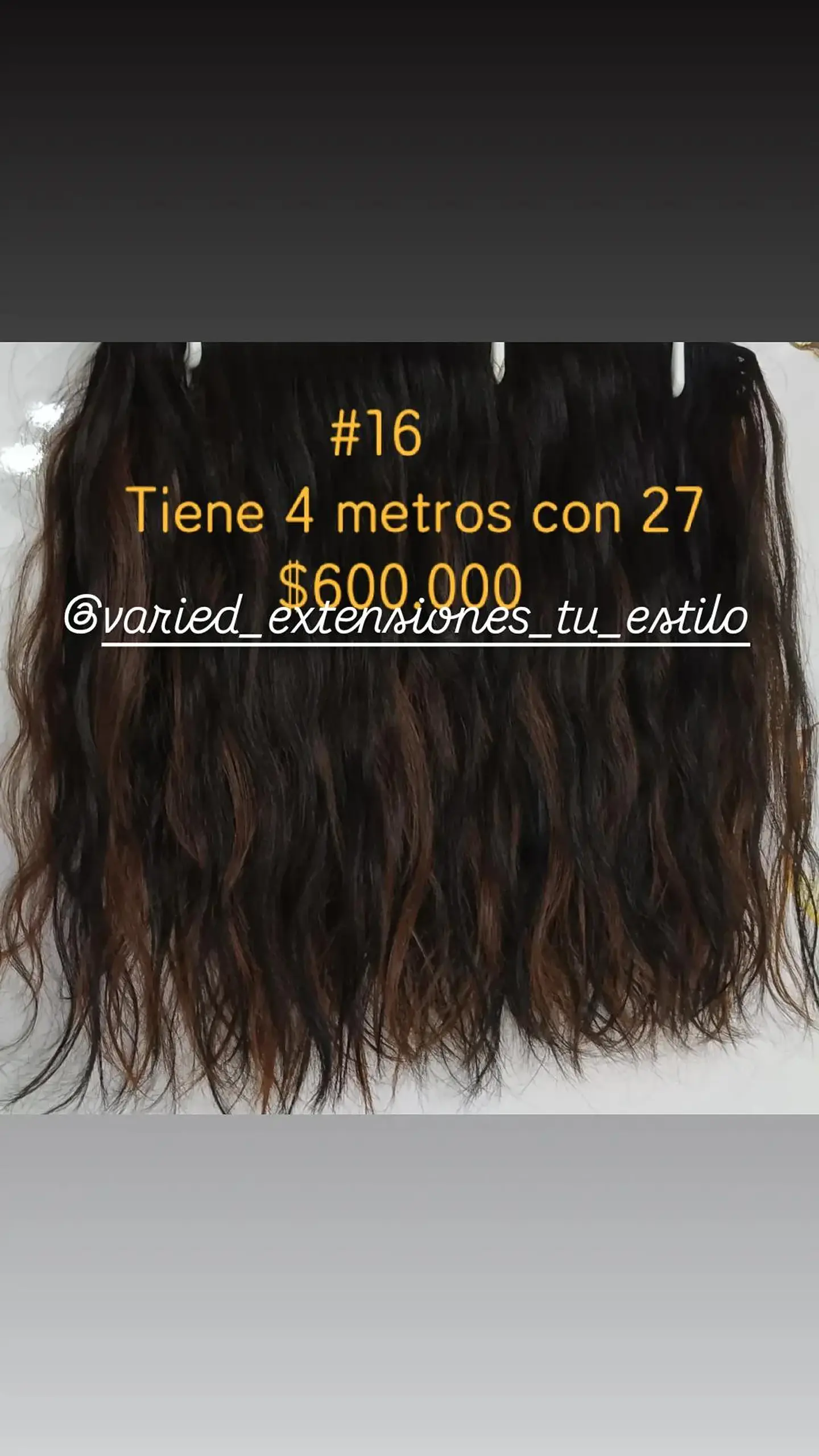 Extensión #16 1