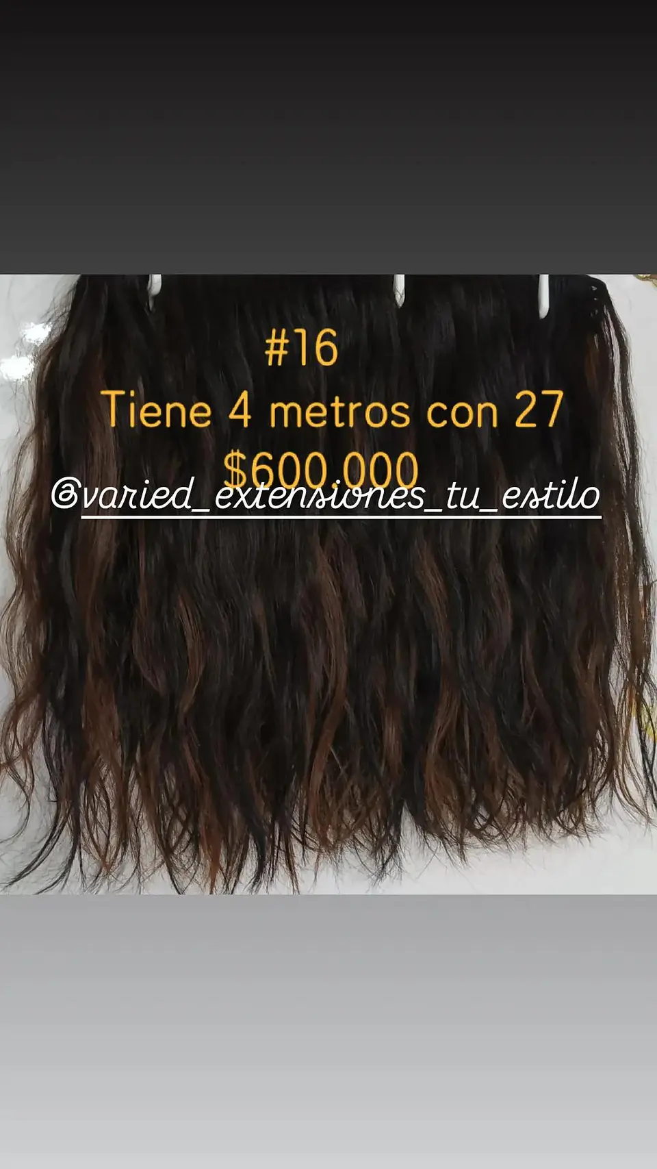 Extensión #16 1
