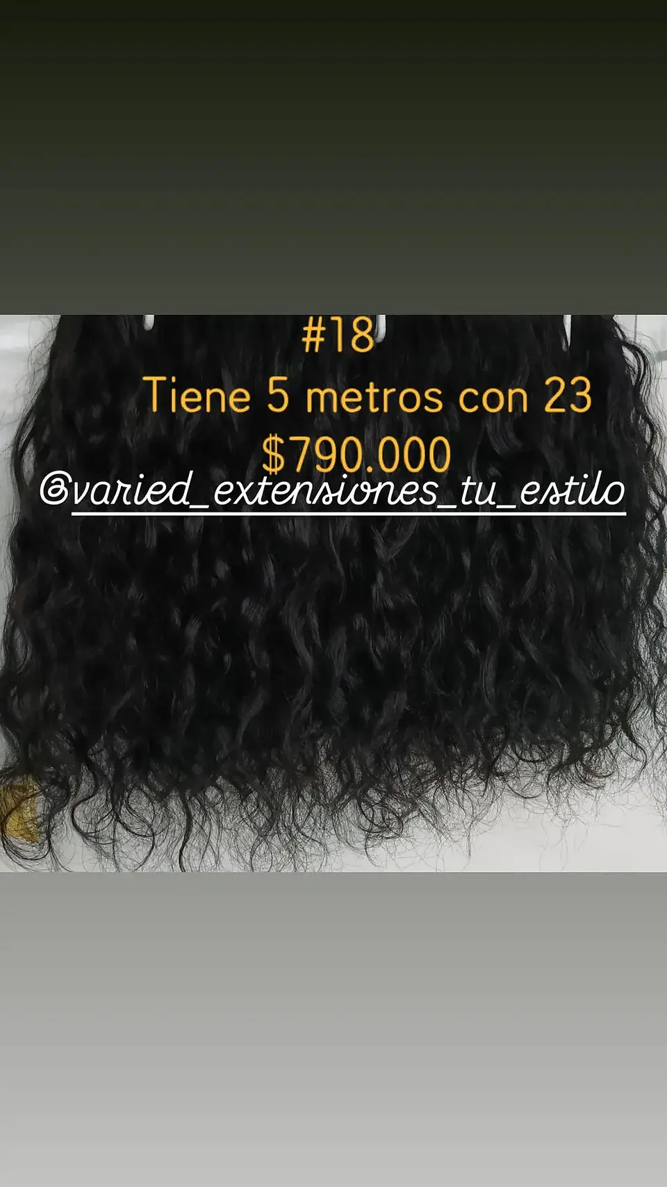 Extensión #18 1