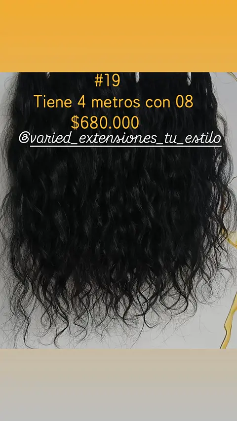 Extensión #19