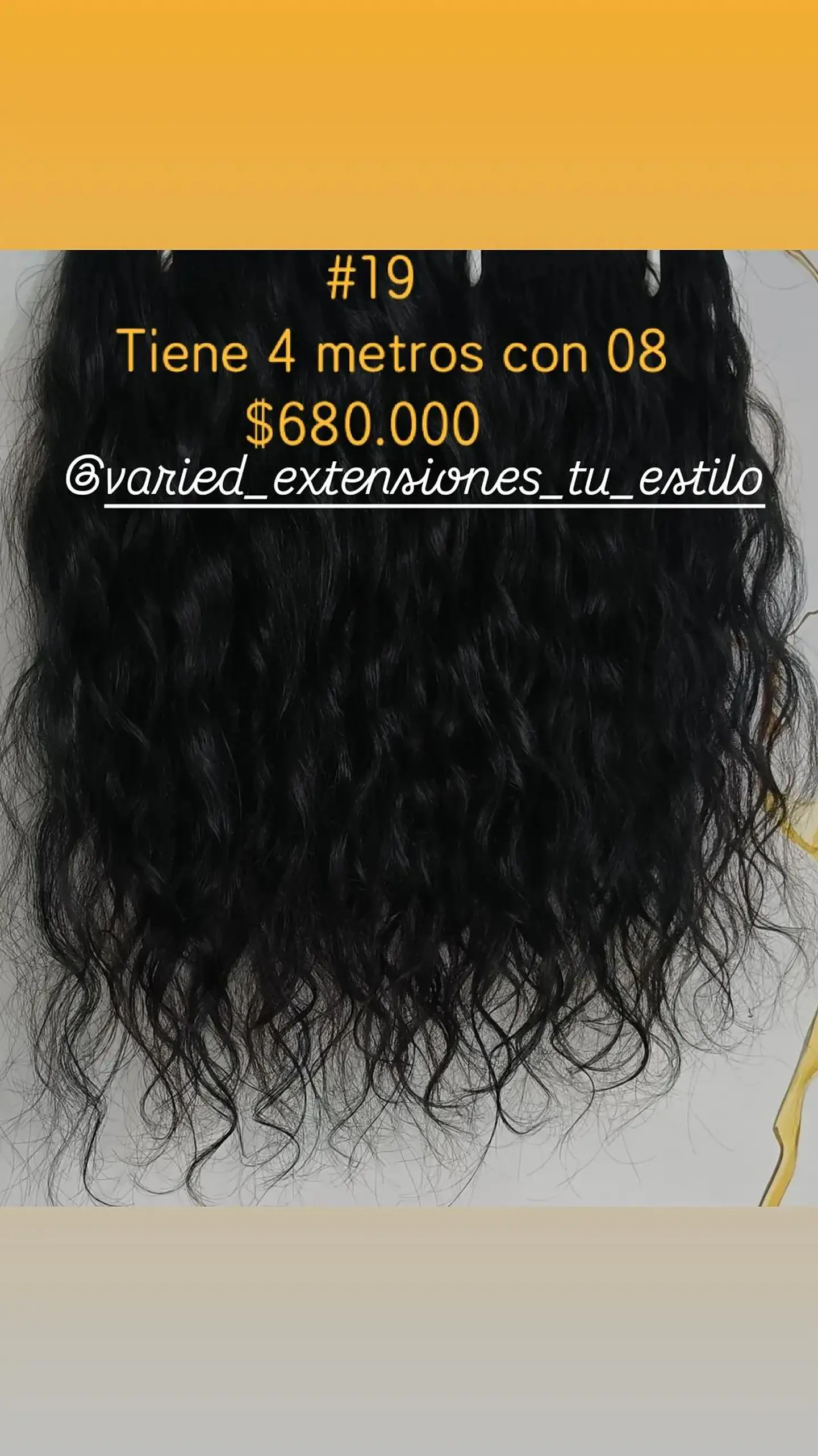 Extensión #19 1