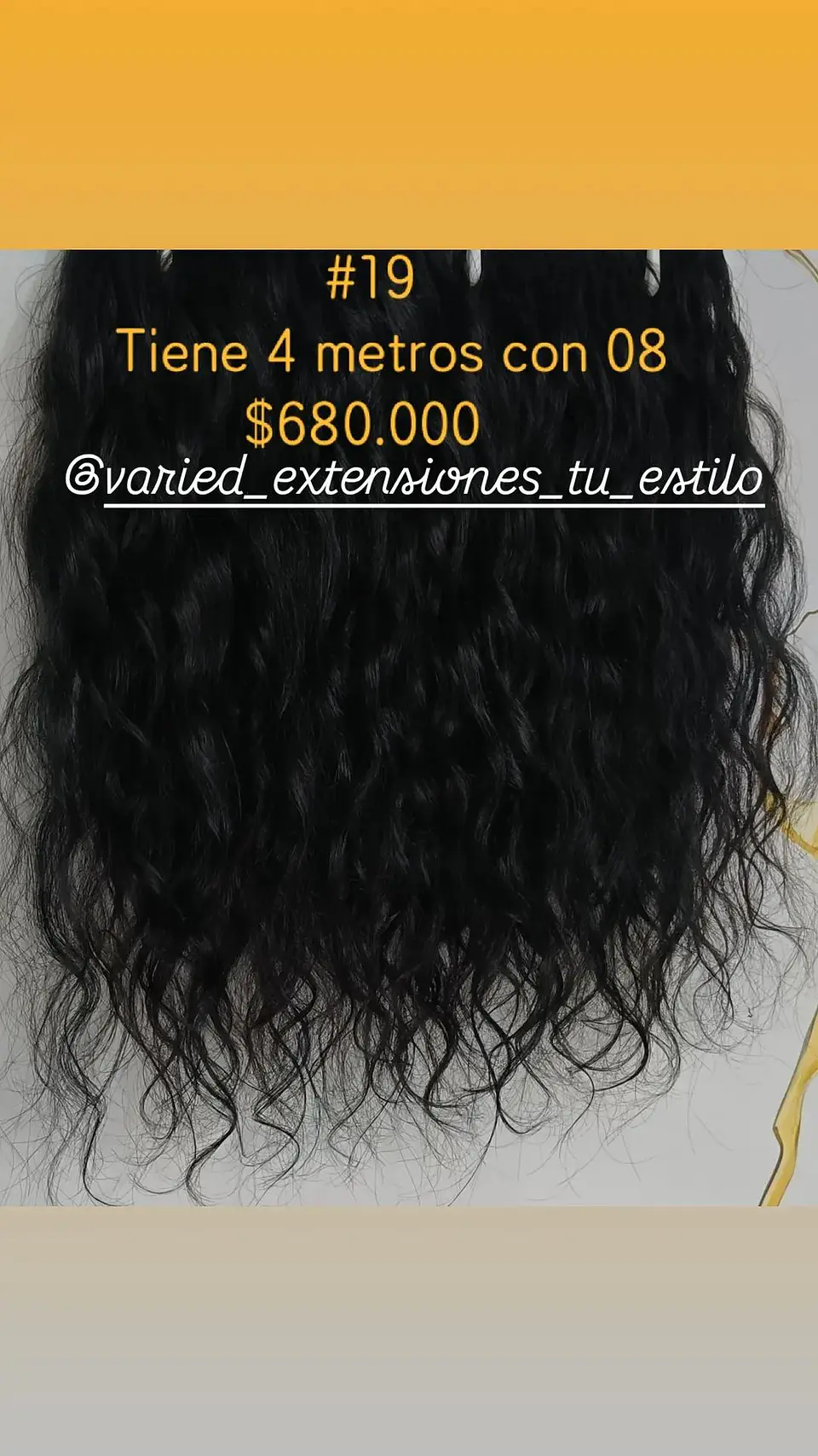 Extensión #19 1