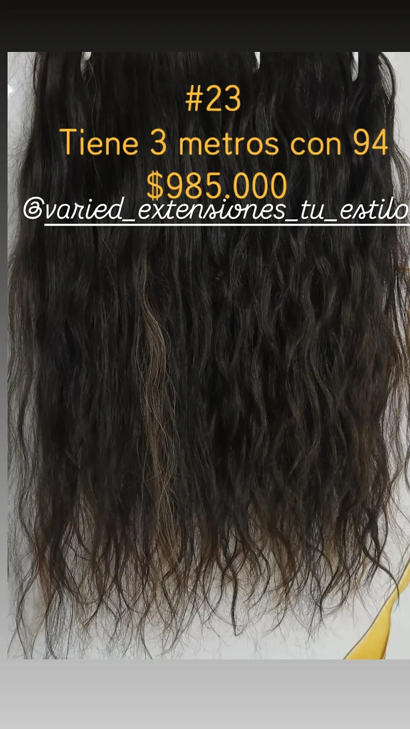 Extensión #23 1