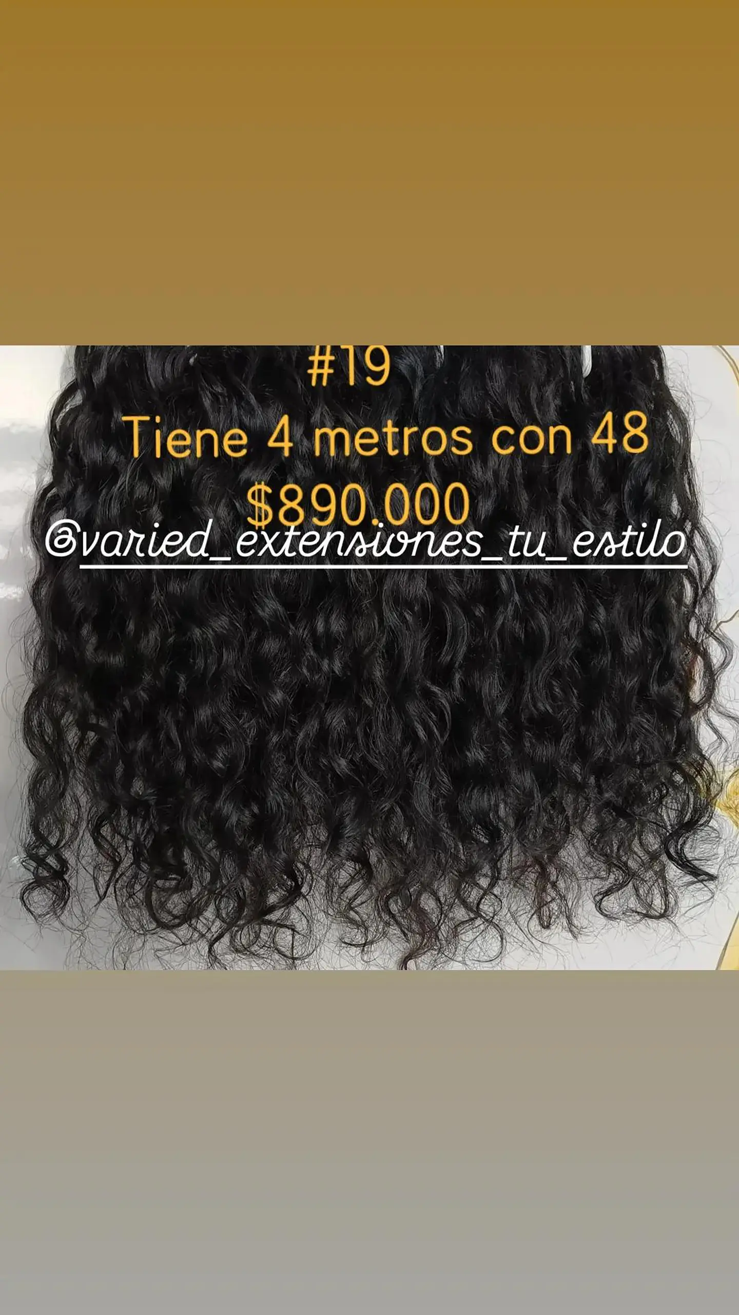 Extensión #19 1