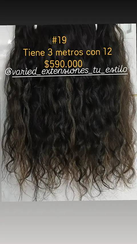 Extensión #19