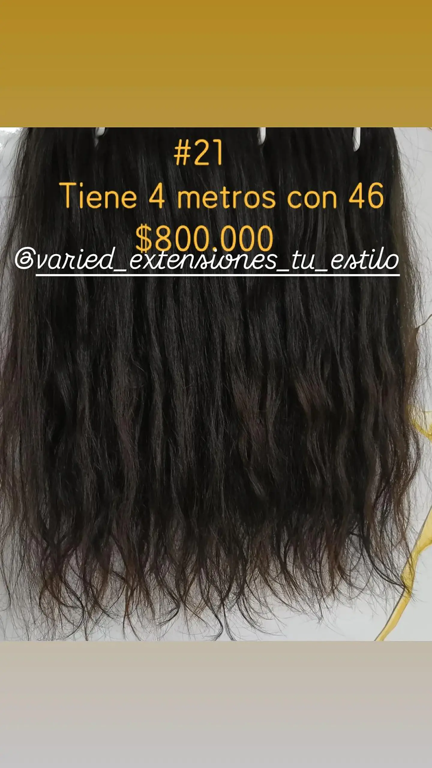Extensión #21 1