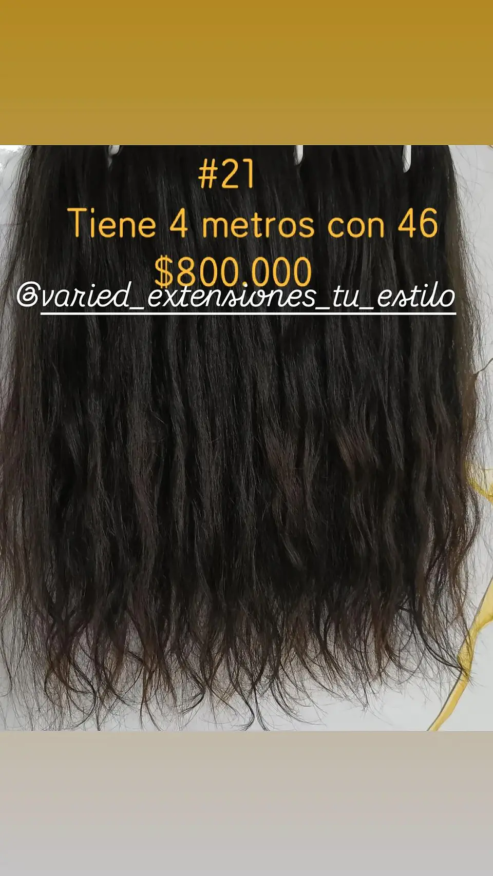 Extensión #21 1