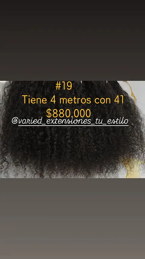 Extensión #19