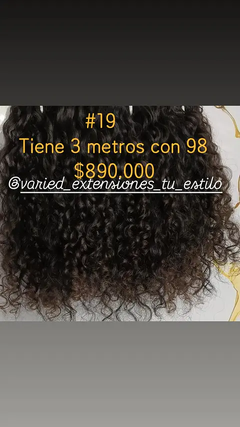 Extensión #19