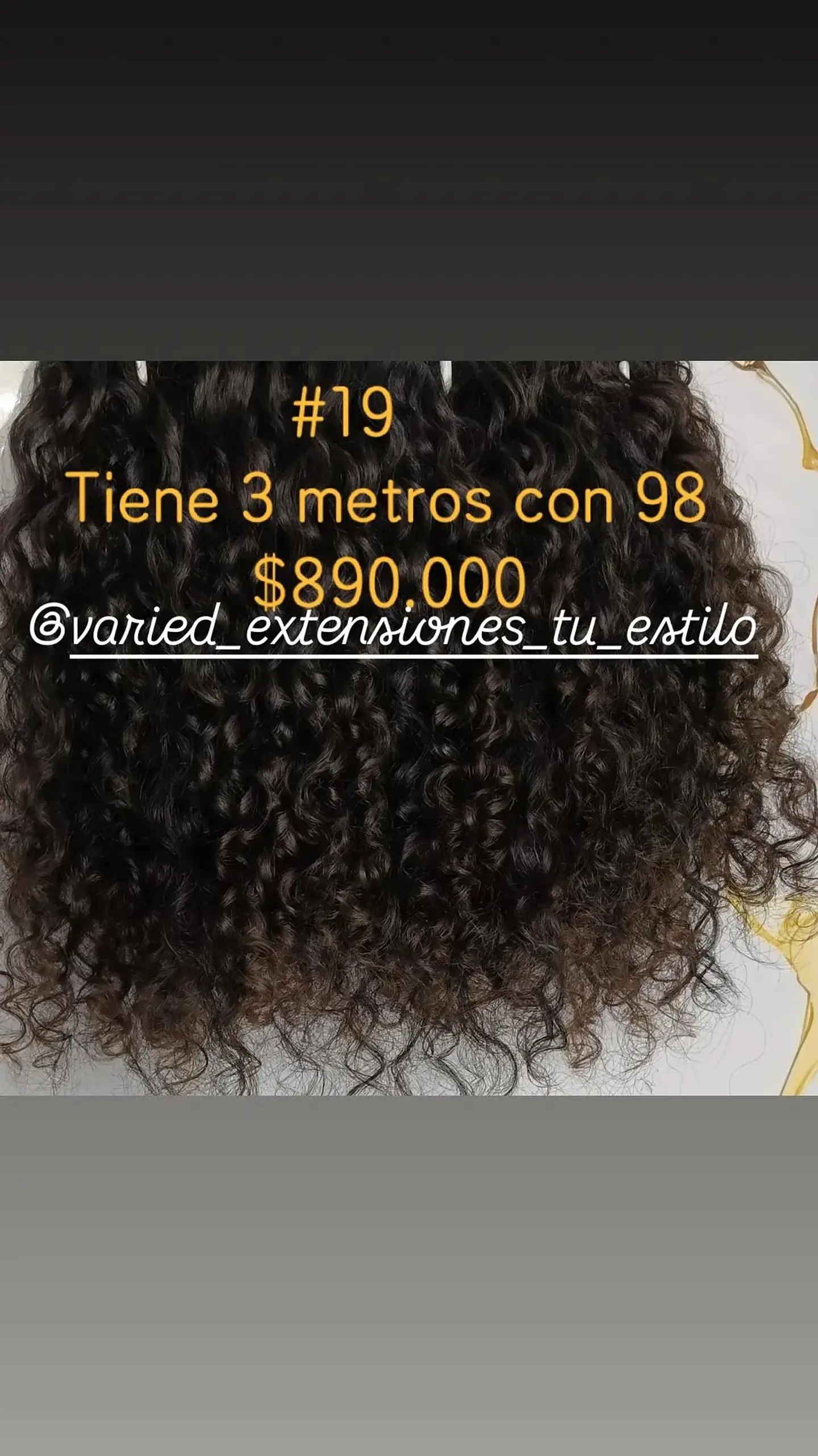 Extensión #19 1