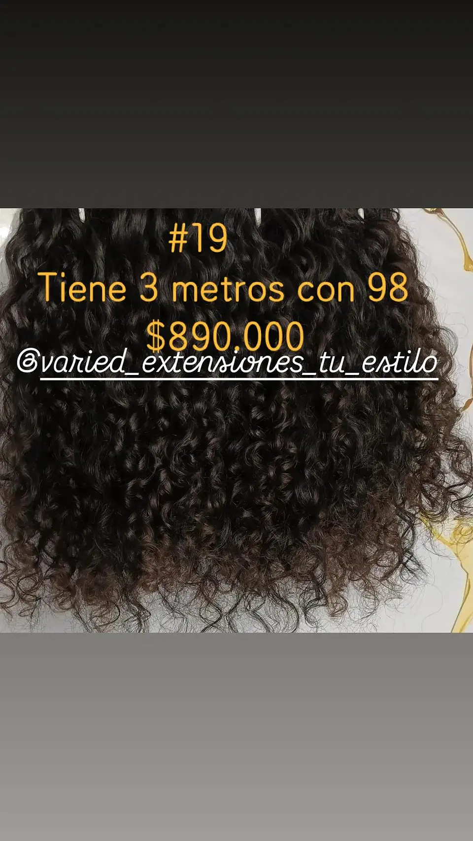 Extensión #19 1
