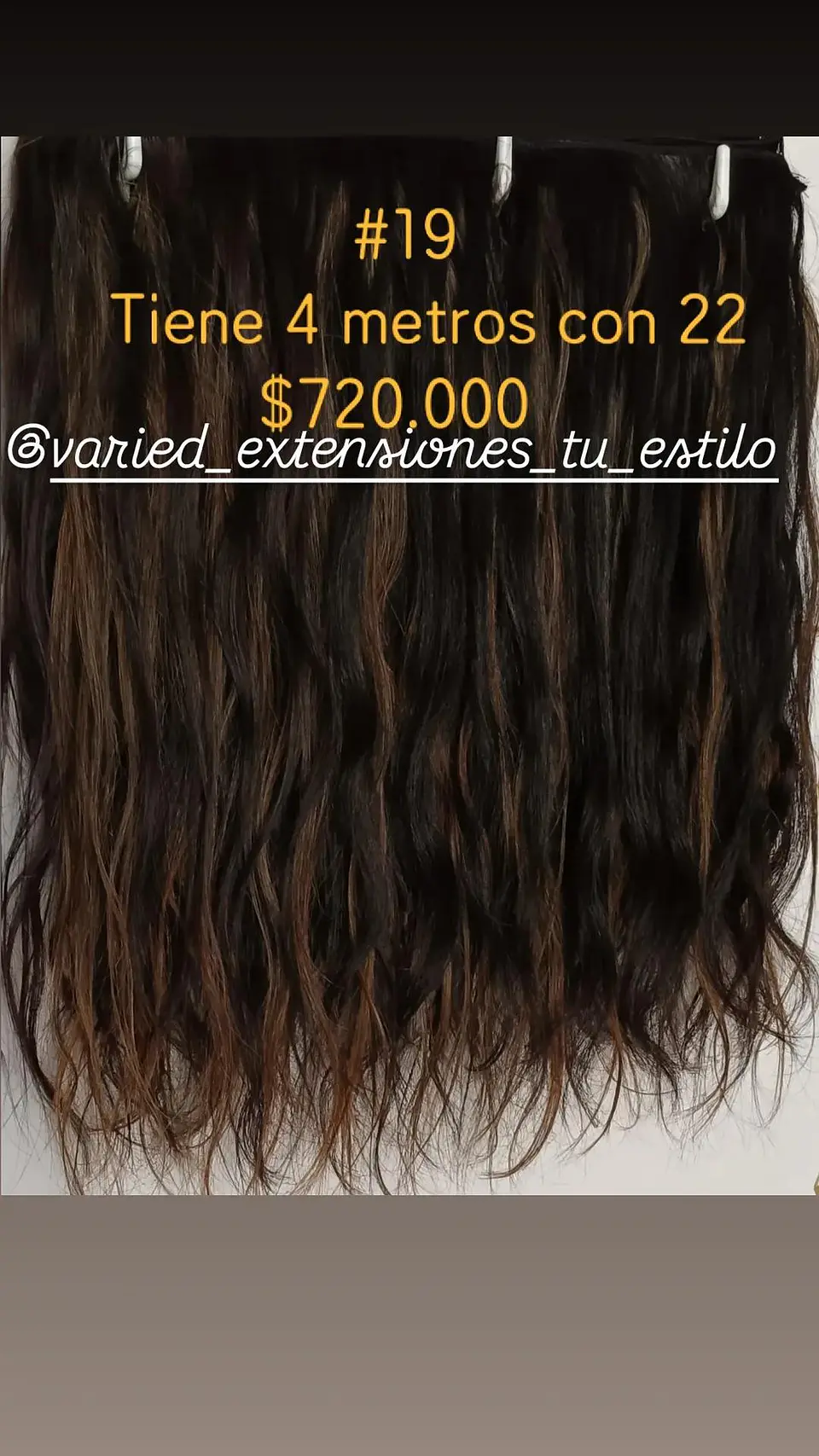 Extensión #19 1