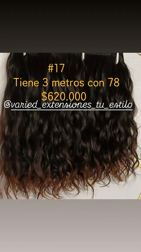 Extensión #17