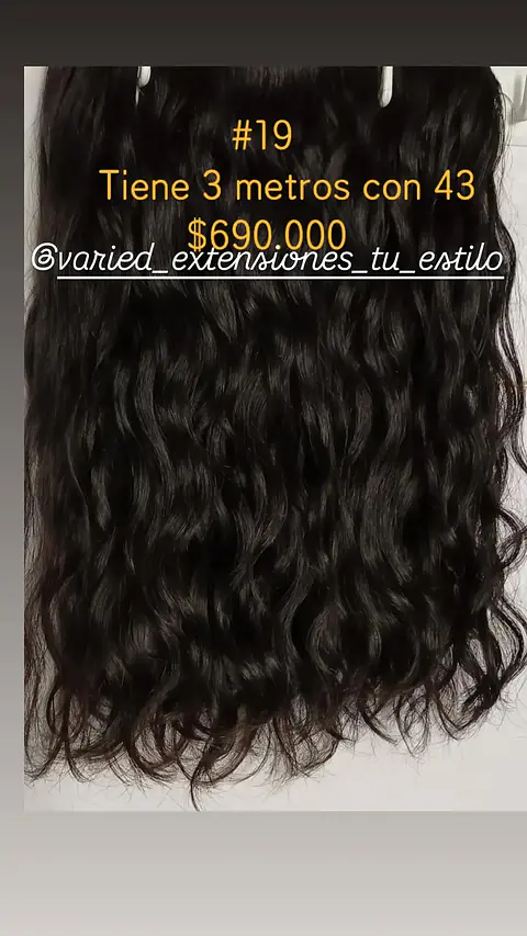 Extensión #19