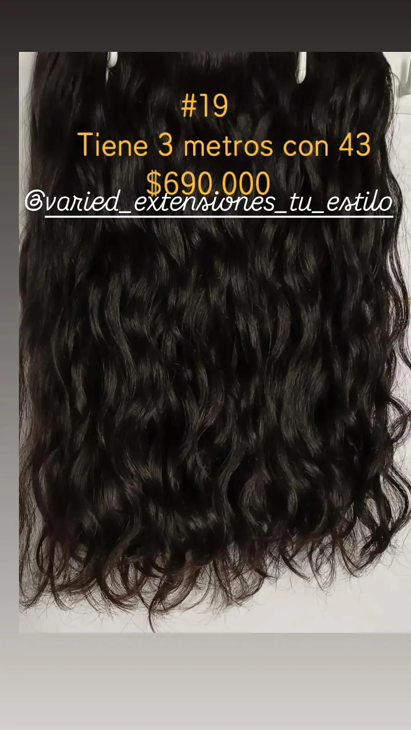 Extensión #19 1