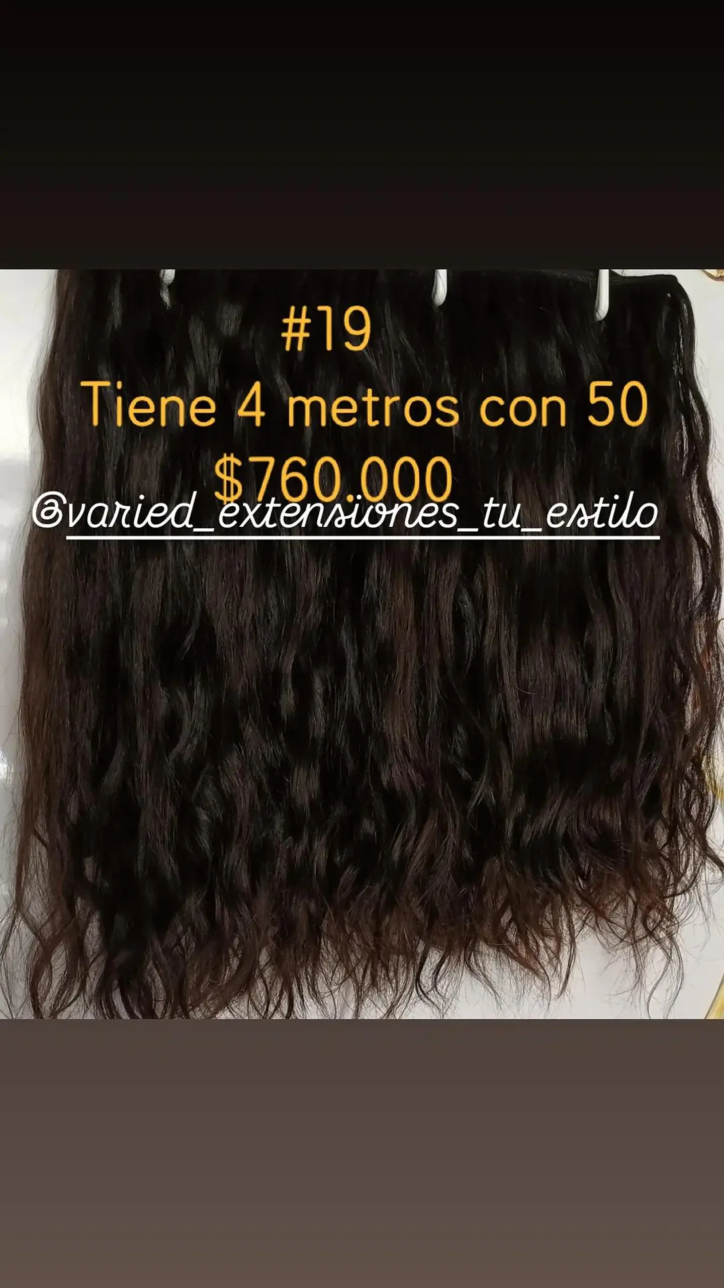 Extensión #19 1