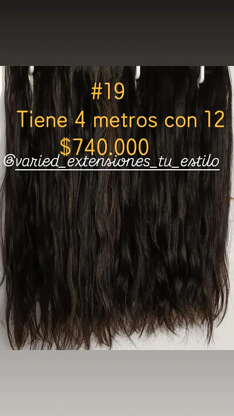 Extensión #19