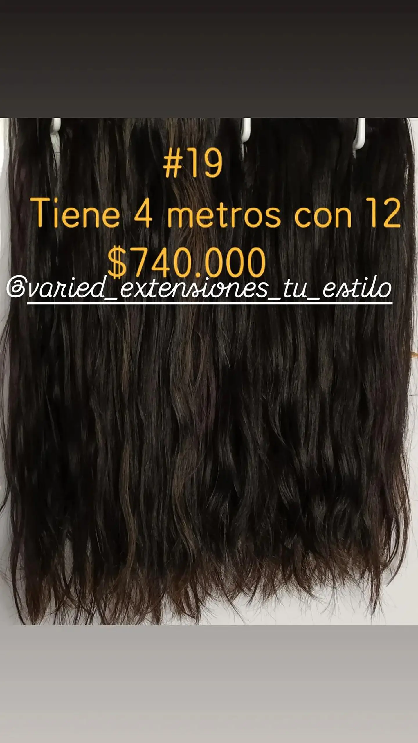 Extensión #19 1