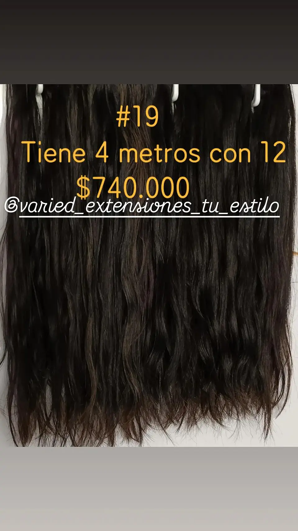 Extensión #19 1