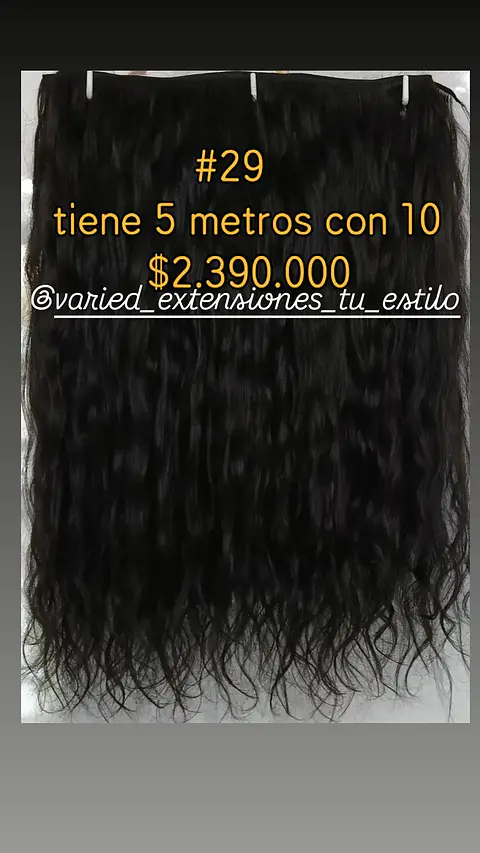 Extensión #29