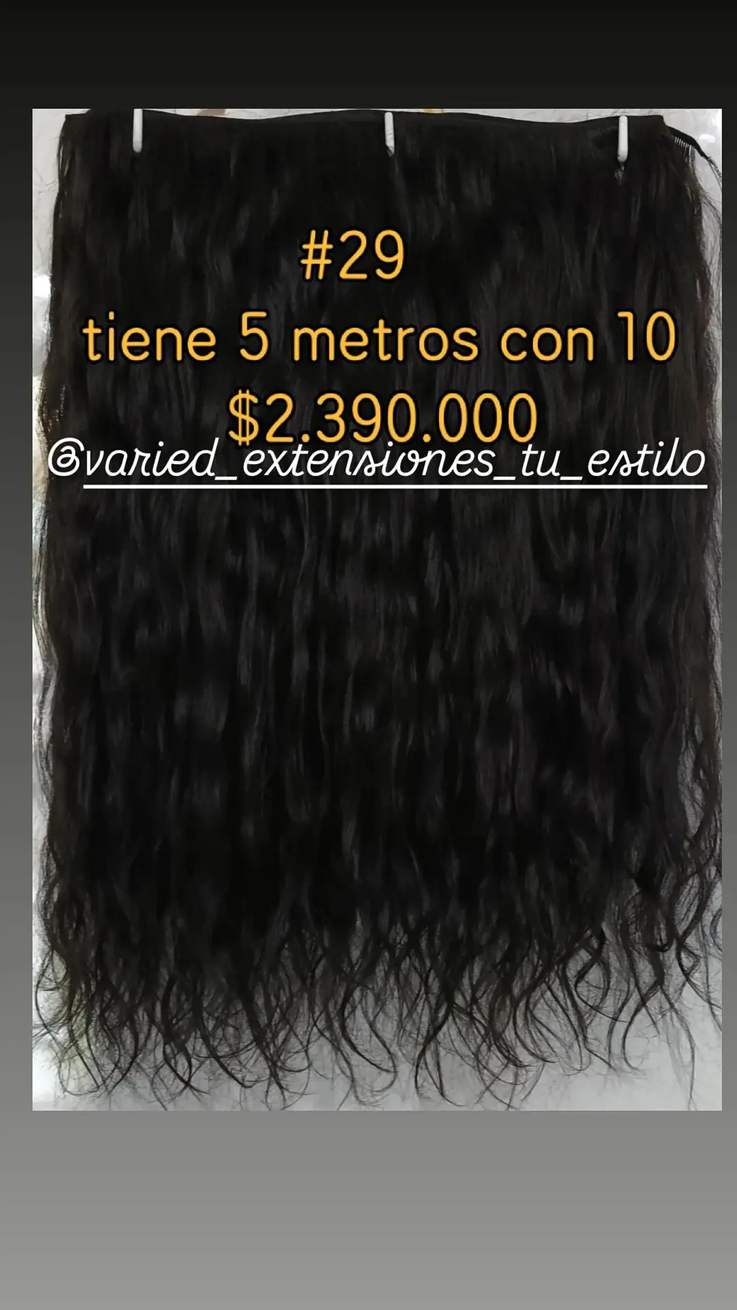 Extensión #29 1