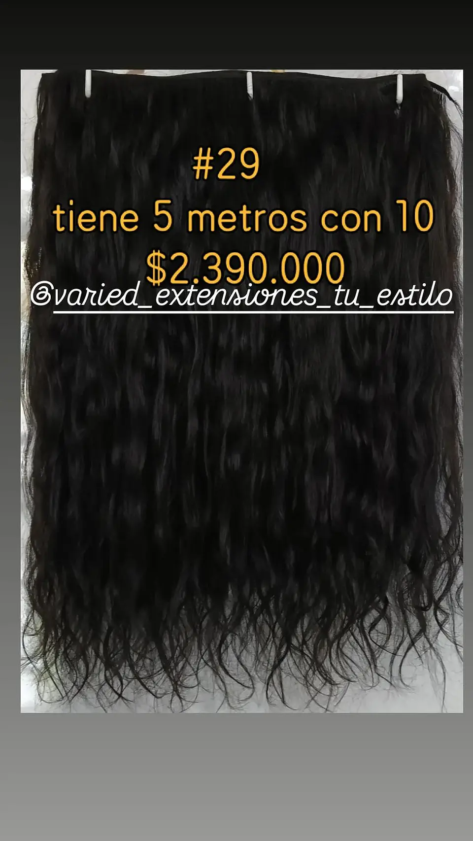 Extensión #29 1