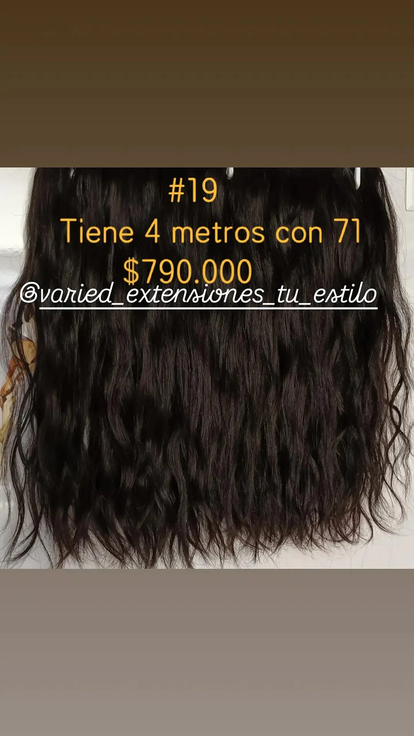 Extensión #19 1