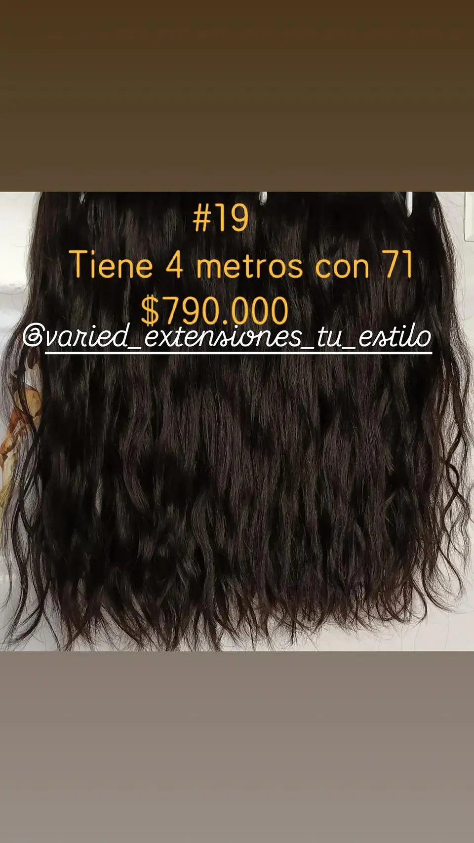 Extensión #19 1