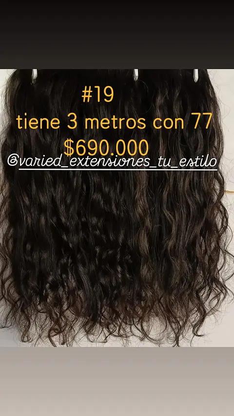 Extensión #19
