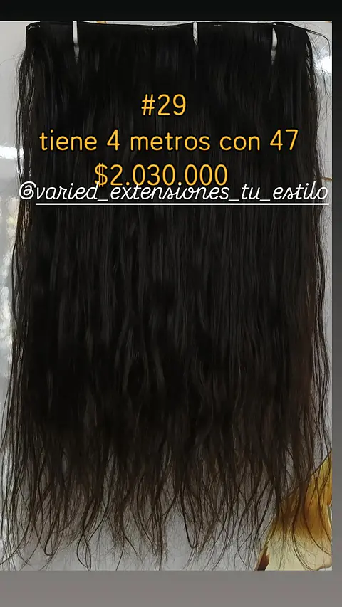 Extensión #29
