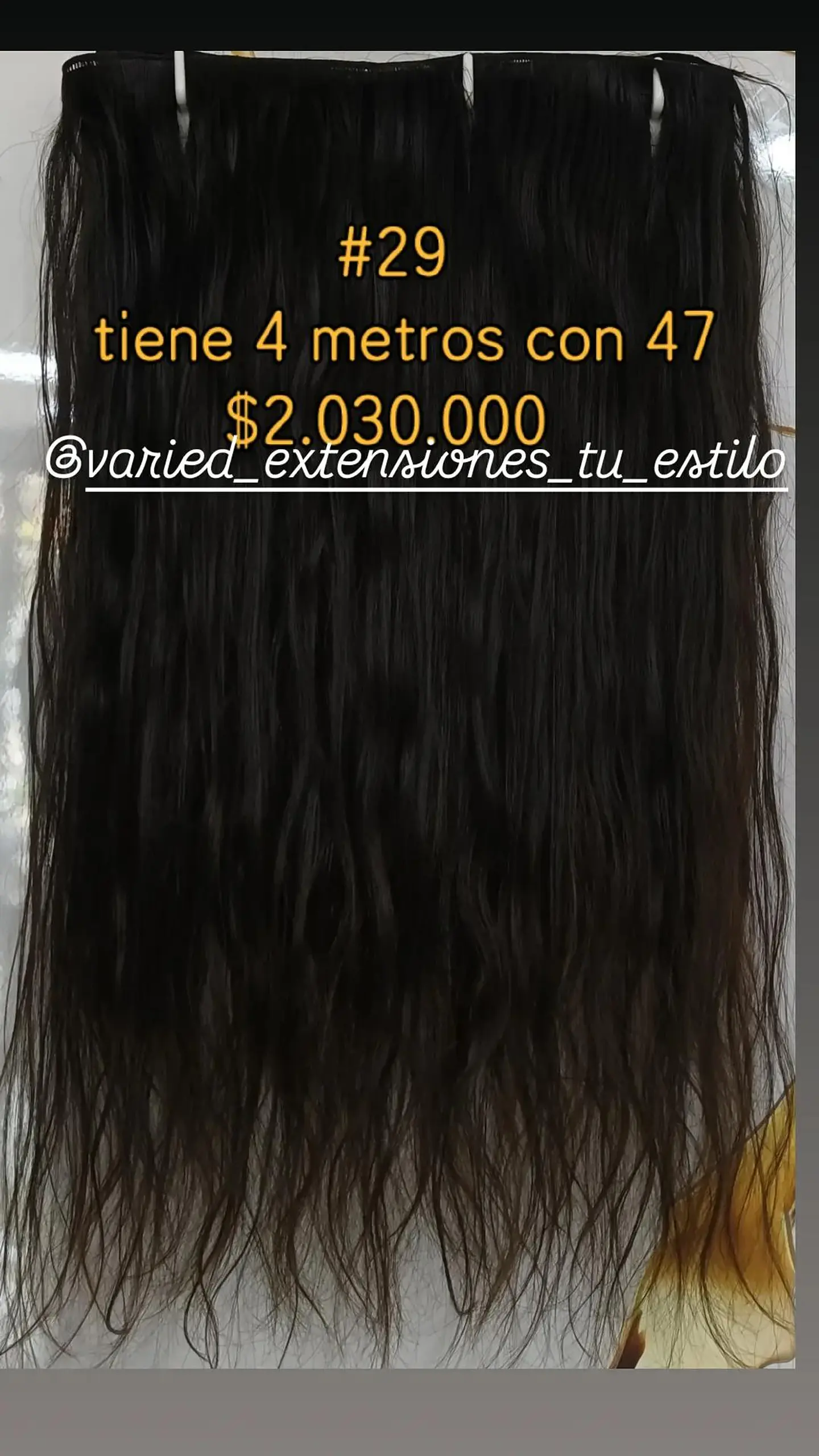 Extensión #29 1