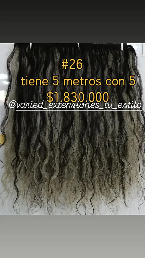 Extensión #26
