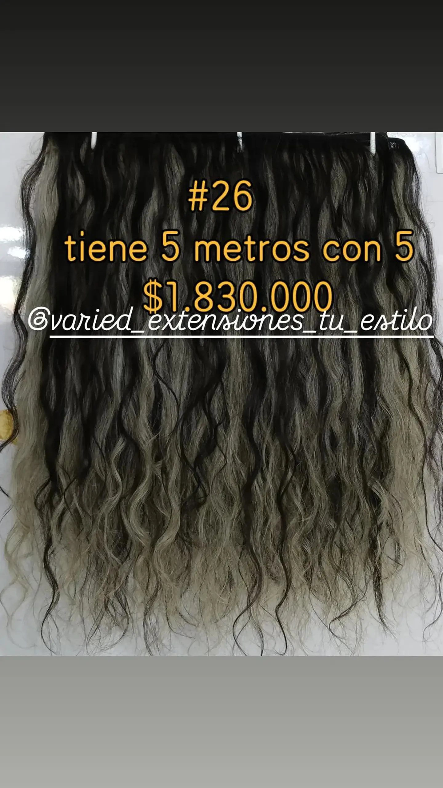 Extensión #26 1