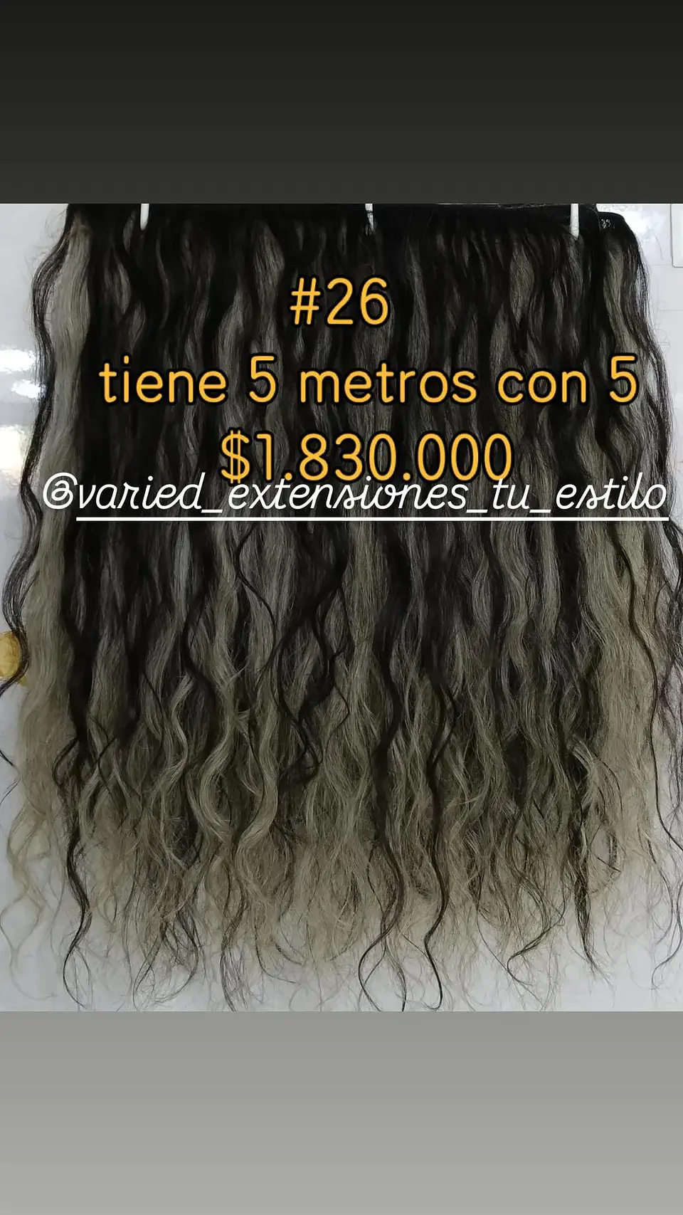 Extensión #26 1