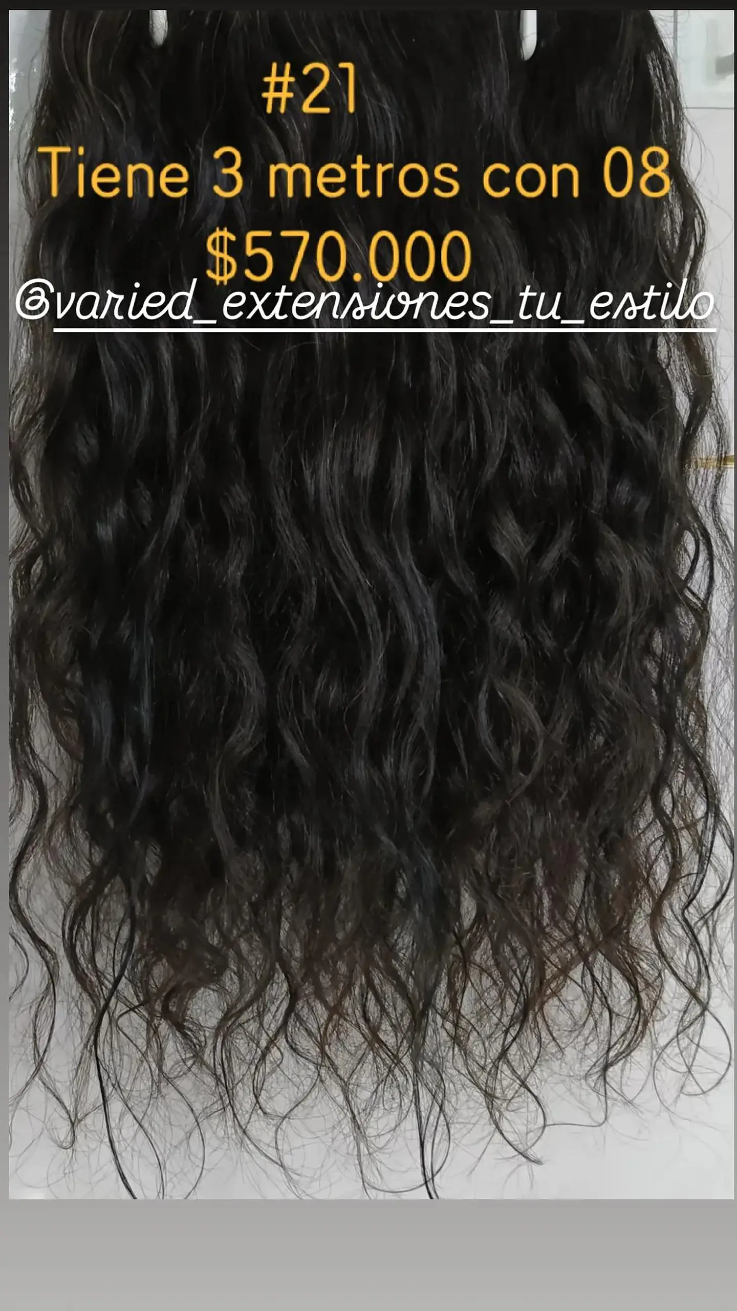 Extensión #21 1