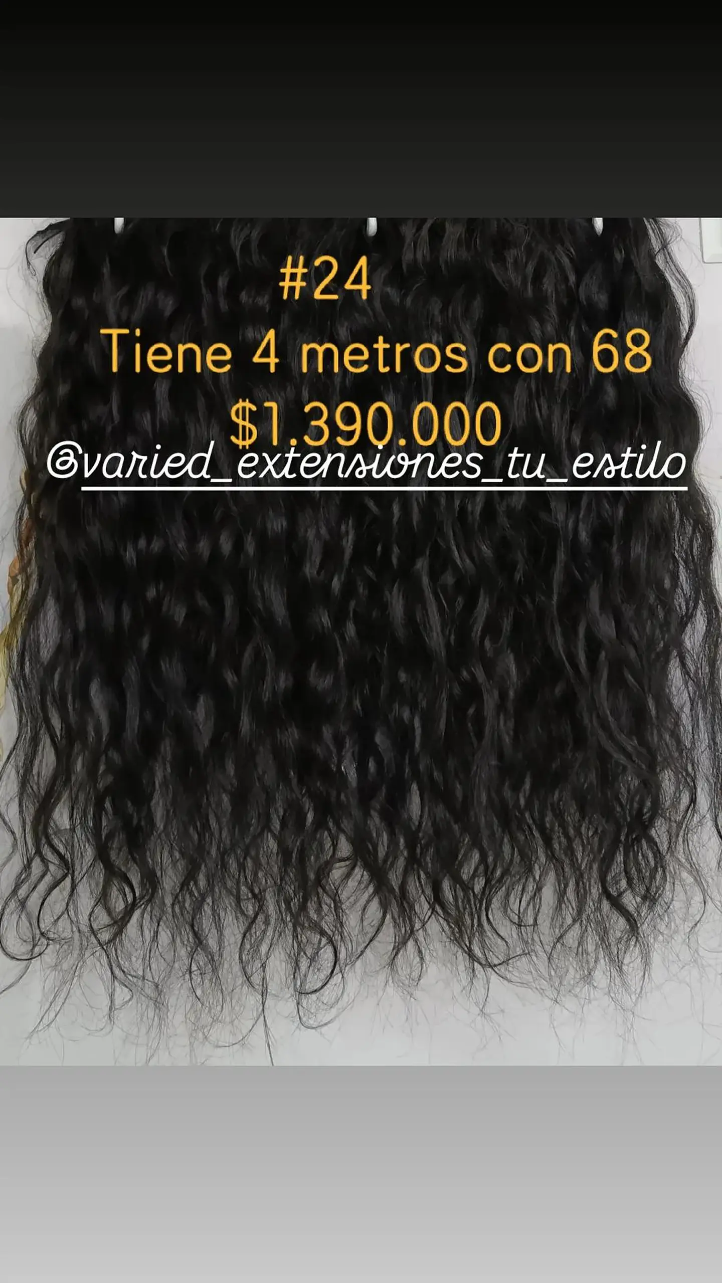Extensión #24 1