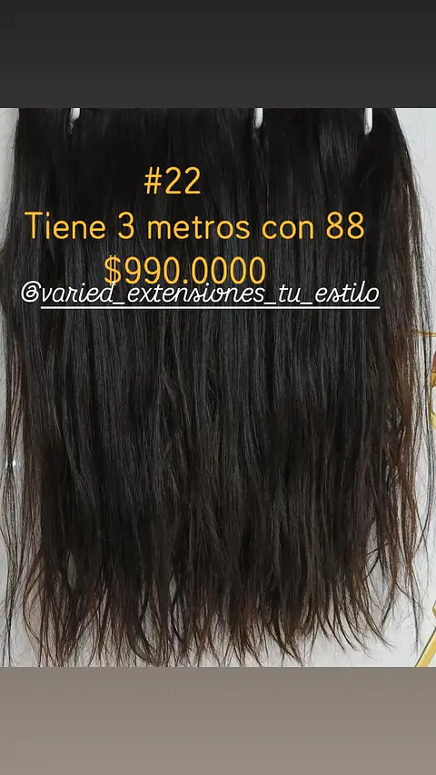 Extensión #22
