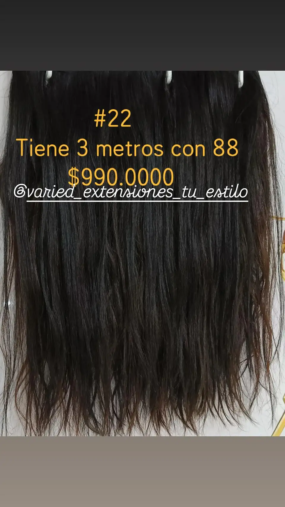 Extensión #22 1