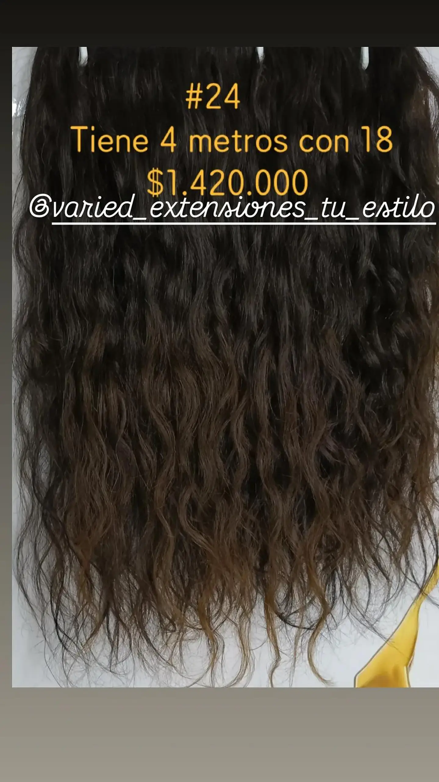 Extensión #24 1