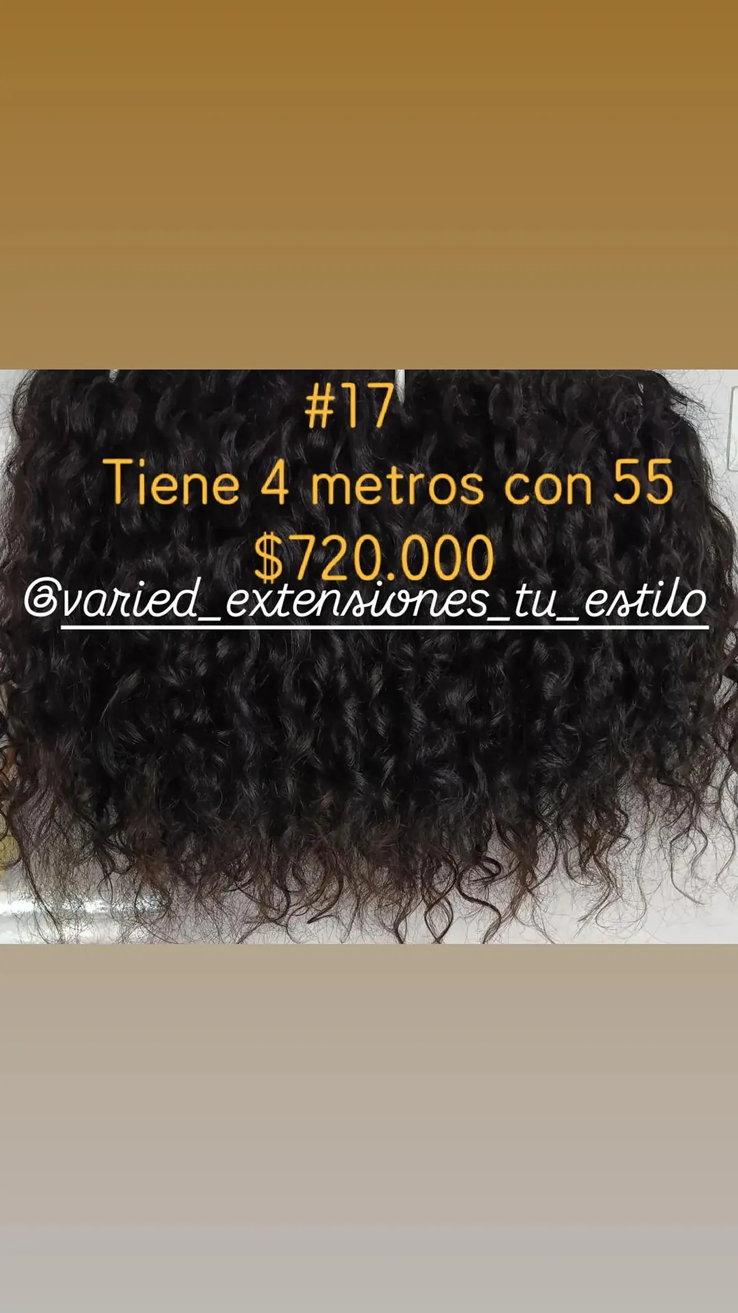 Extensión #17 1