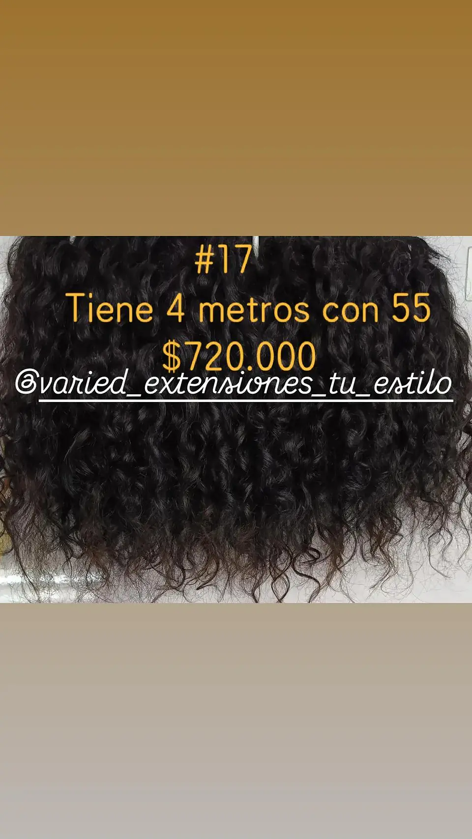 Extensión #17 1