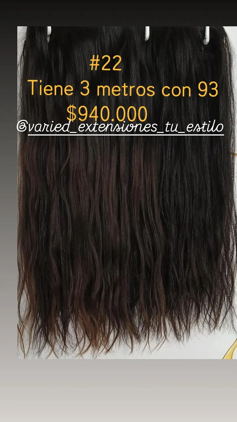 Extensión #22 1