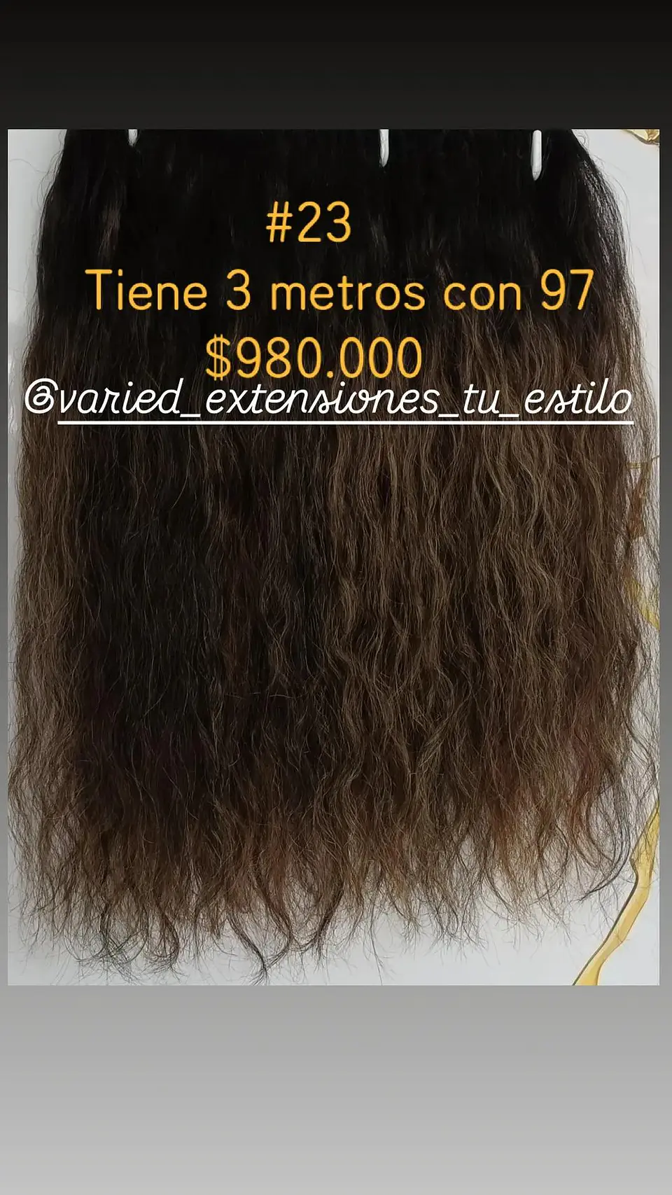Extensión #23 1